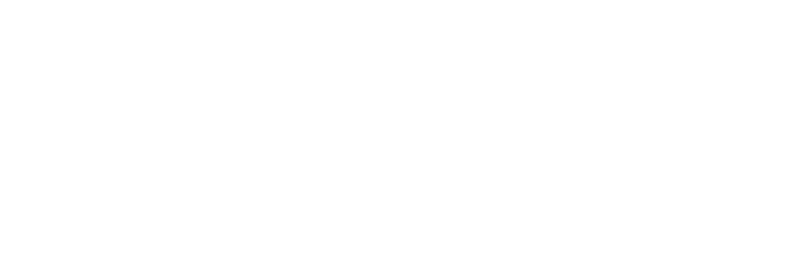 Logo ELITE